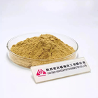 Keep In A Cool Hericium Erinaceus Powder For People With Weak Digestion